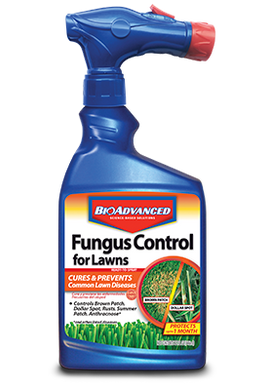 Fungus Control for Lawns RTS 32 oz