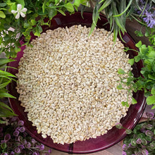 Load image into Gallery viewer, Safflower Bird Feed 5 lb bag