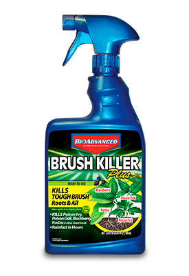 Brush Killer Plus RTU 24 oz