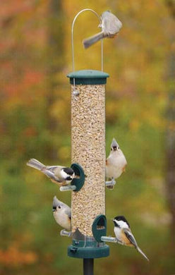 Seed Large Spruce Bird Feeder Quick Clean