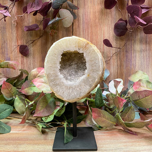 Agate Geode w Metal Stand