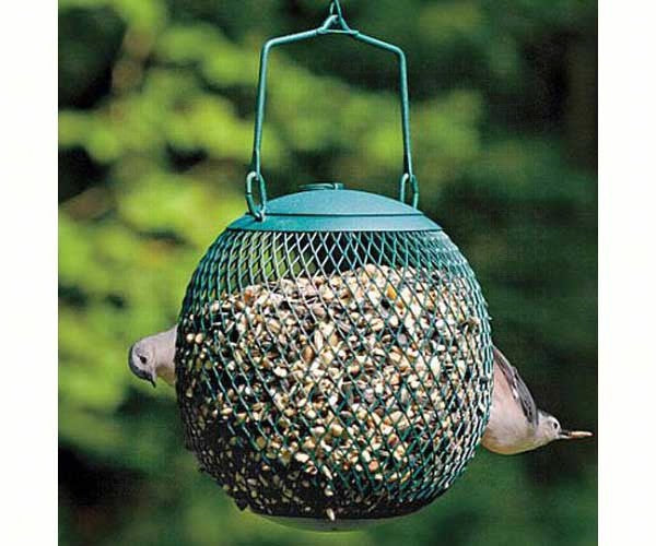 The Green Seed Ball Bird Feeder