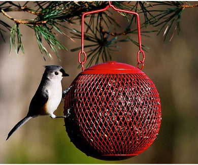 The Red Seed Ball Bird Feeder