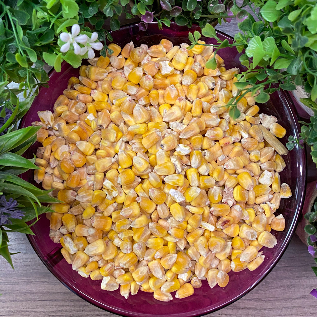 Shelled Whole Corn Animal Feed 10 lb bag – The Rock Pile