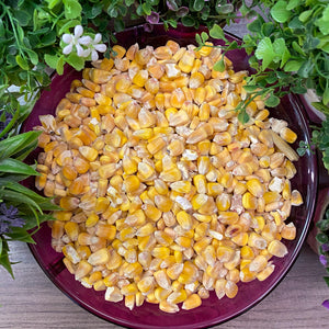 Shelled Whole Corn Animal Feed 10 lb bag