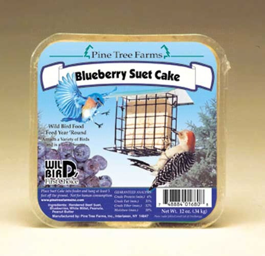 Blueberry Suet Cake