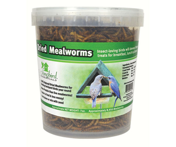Dried Mealworms 16 oz