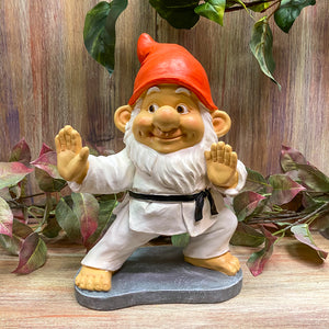 Kung Fu Gnome
