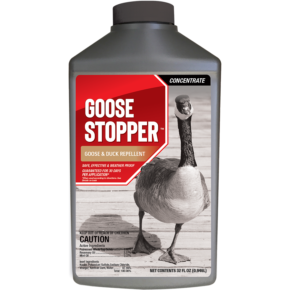 Messinas Goose Stopper Concentrate Quart