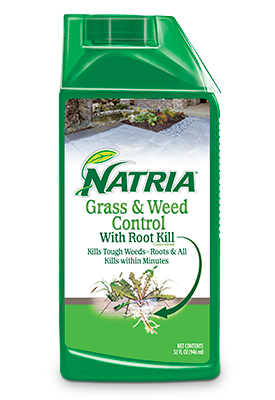 Grass Weeds - Control of Grass Weeds.