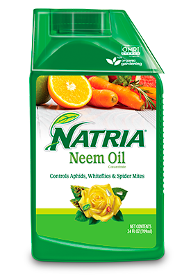 Natria Neem Oil Concentrate 24 oz
