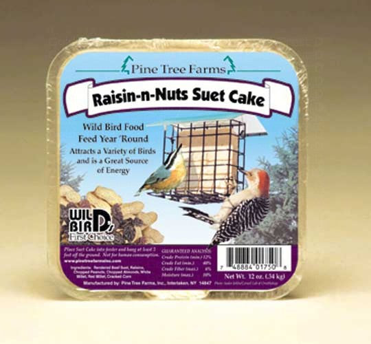 Raisin Nut Suet – The Rock Pile