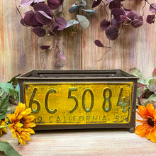 Load image into Gallery viewer, License Plate Planter Rectangle Large