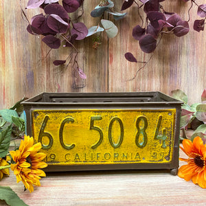 License Plate Planter Rectangle Large