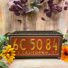 Load image into Gallery viewer, License Plate Planter Rectangle Large