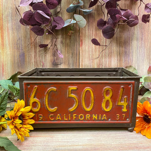 License Plate Planter Rectangle Large