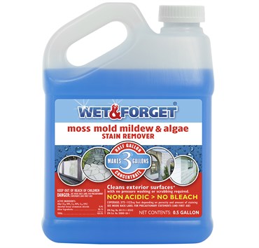 Wet and Forget Outdoor Cleaner